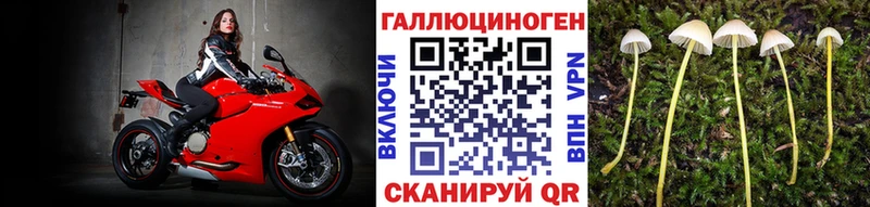 купить  сайты  Полярный  Псилоцибиновые грибы мицелий 